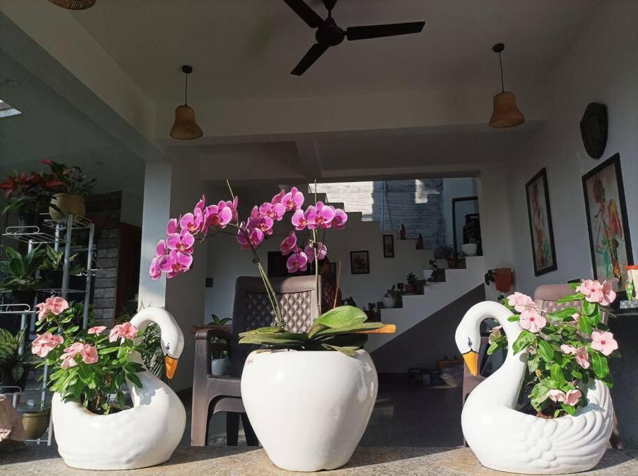 Almond Villa Find Your Paradise Алібаґ Екстер'єр фото